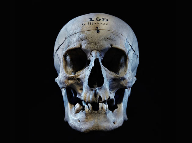 So you’ve never been to Barts Pathology Museum? So you’ve never been to Barts Pathology Museum?