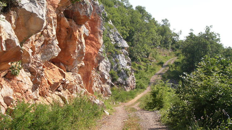 Climb the Red Rocks