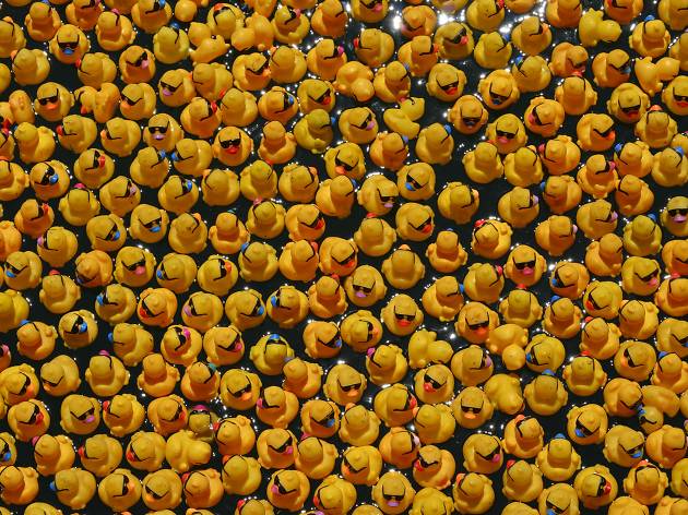 Chicago Ducky Derby PIC_7327