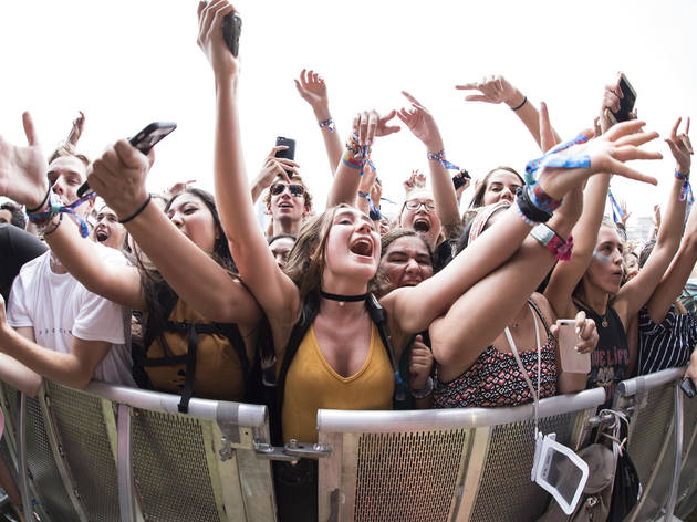 People Arrested, More Than 200 Hospitalized Over Four Days Of Lollapalooza