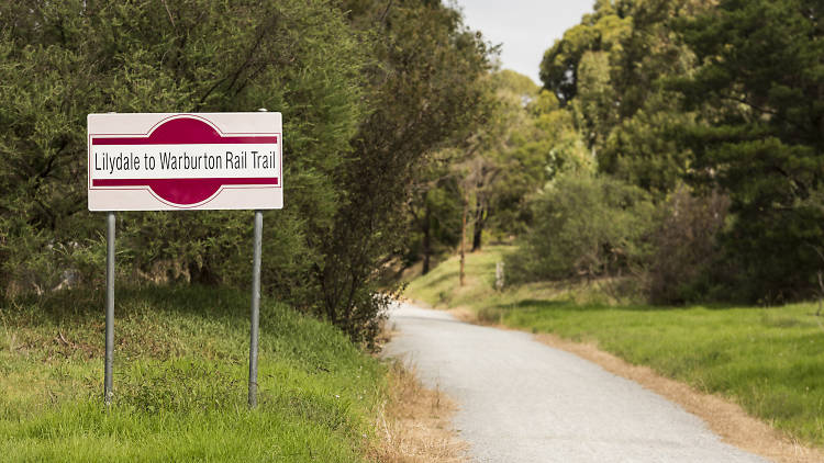 Lilydale to Warburton rail trail