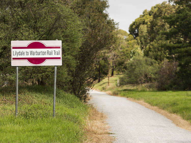 Lilydale to Warburton rail trail