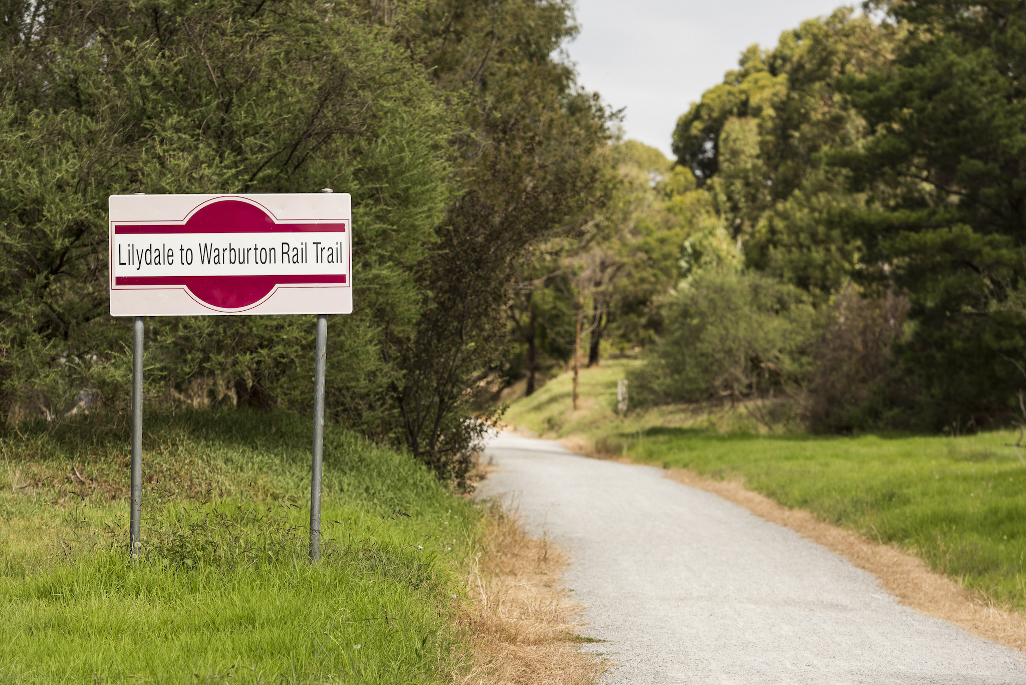 best bike for rail trails