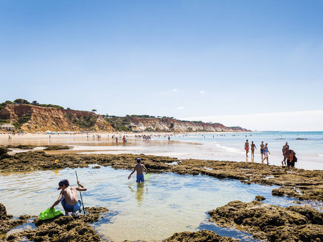 praia do Barranco do belharuco praia do Barranco do belharuco