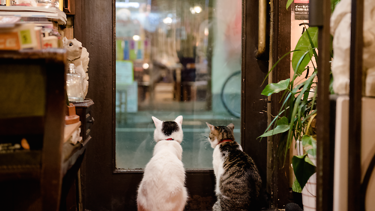 新宿でしかできない101のこと- Time Out Tokyo（タイムアウト東京）