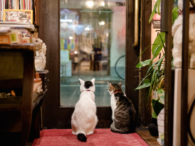 新宿でしかできない101のこと Time Out Tokyo タイムアウト東京