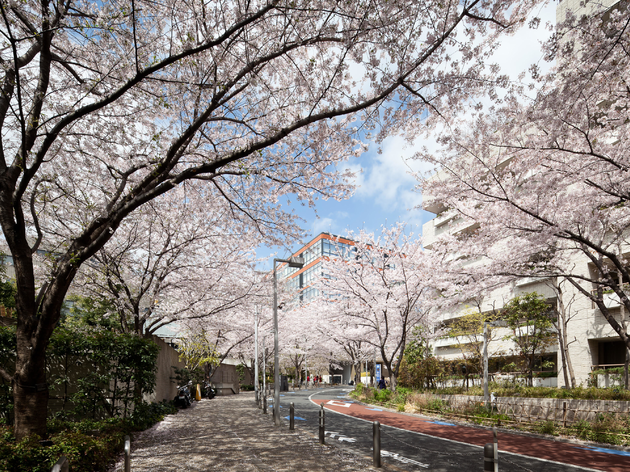 六本木でしかできない101のこと Time Out Tokyo タイムアウト東京