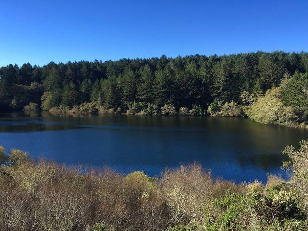 A lovely lake view at Mount Tamalpais State Park