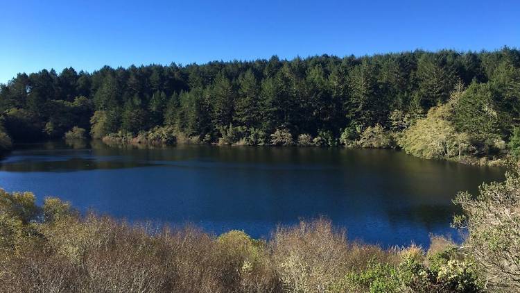 A lovely lake view at Mount Tamalpais State Park