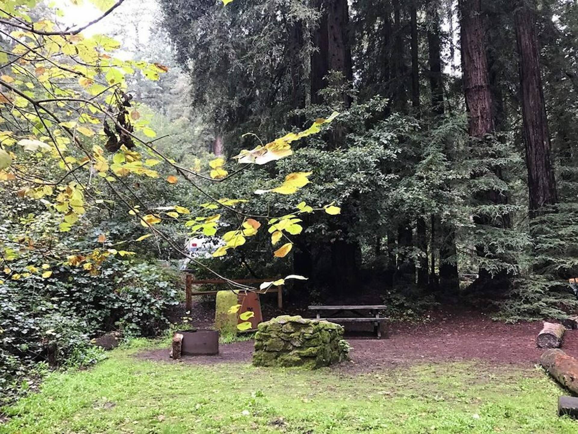 12 Best Spots for Camping Near San Francisco