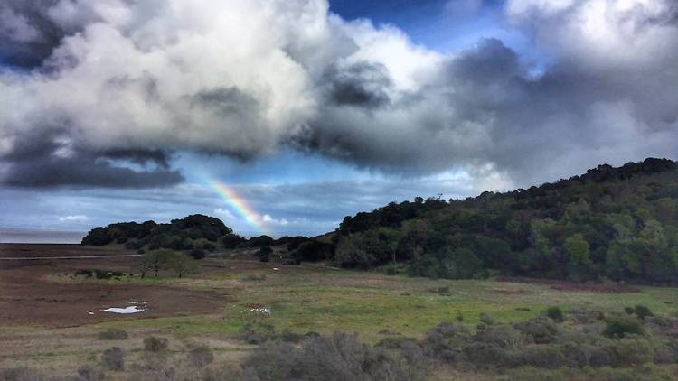 The end of a rainbow at China Camp State Park