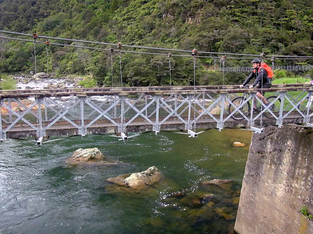 Hauraki Rail Trail in New Zealand Hauraki Rail Trail in New Zealand