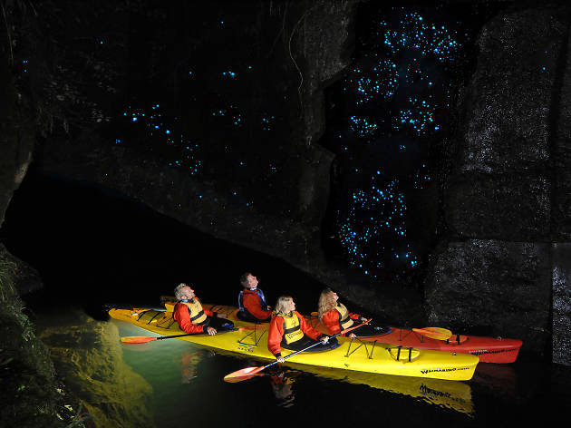 Wairamarino Glow Worm Kayak Tours Wairamarino Glow Worm Kayak Tours