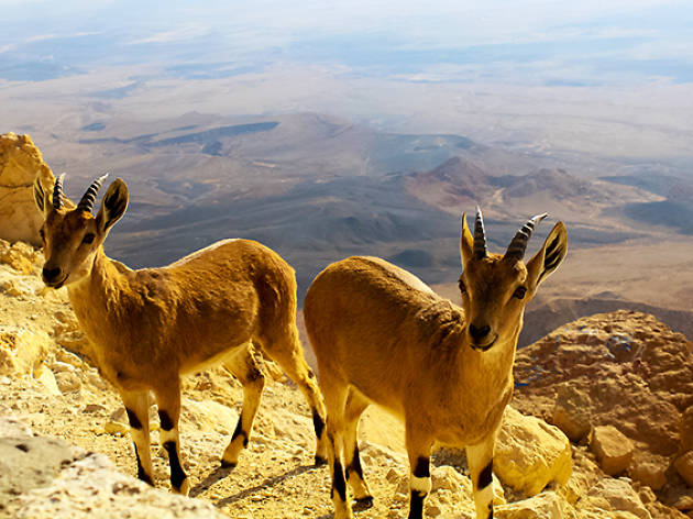 "Unplugged": 9 places in Israel to get away from the wifi "Unplugged": 9 places in Israel to get away from the wifi