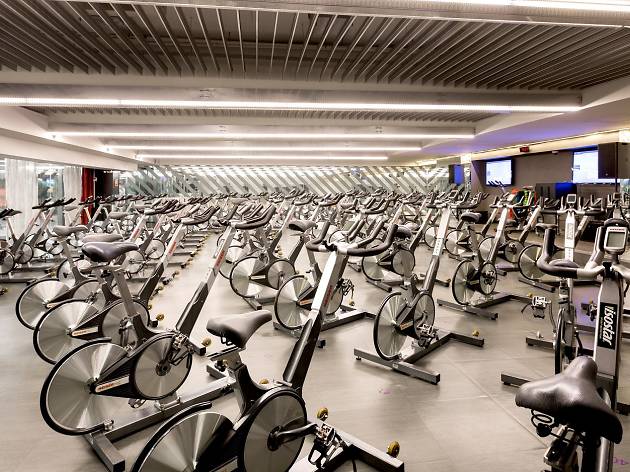 Spinning DIR Spinning DIR