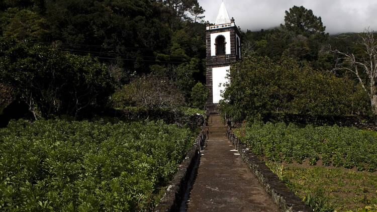 Veja a Torre Sineira que resistiu ao vulcão na Urzelina