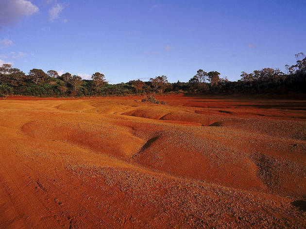 barreiro da faneca Deserto vermelho