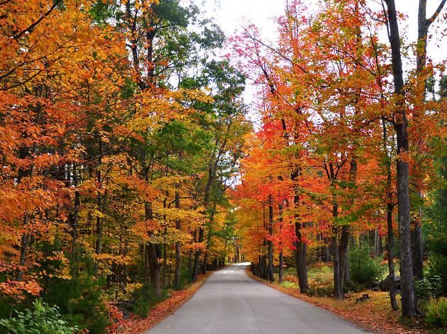 Scenic drives for fall Scenic drives for fall