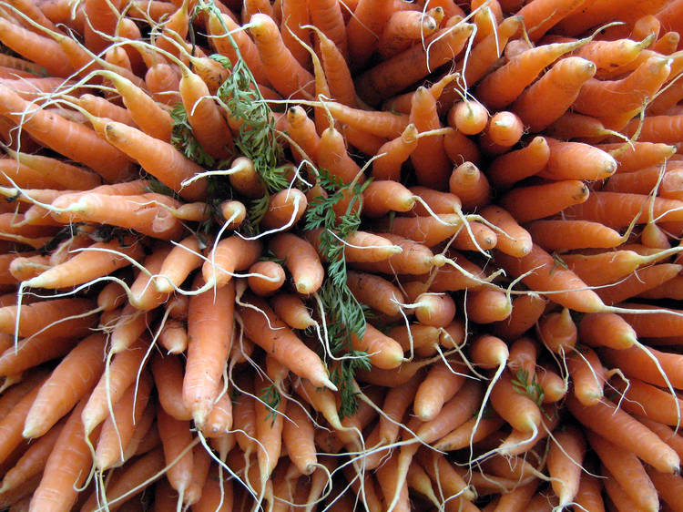 Bartel-Pritchard Square Greenmarket