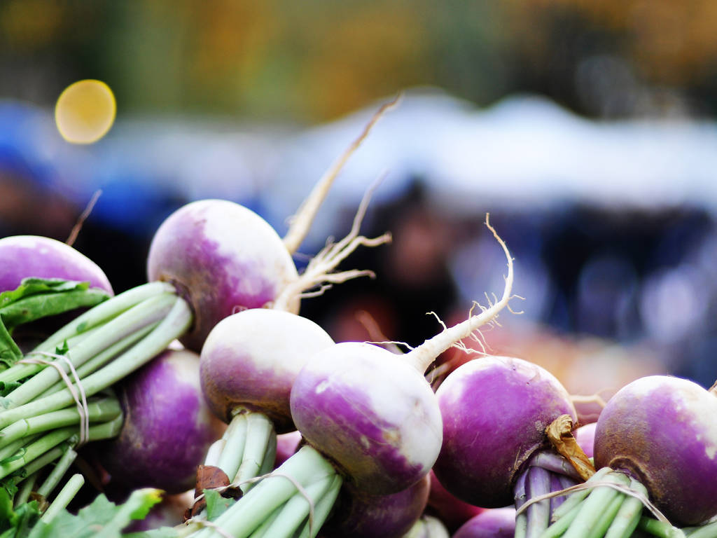 13 Amazing Farmers’ Markets NYC Offers For Fresh Produce