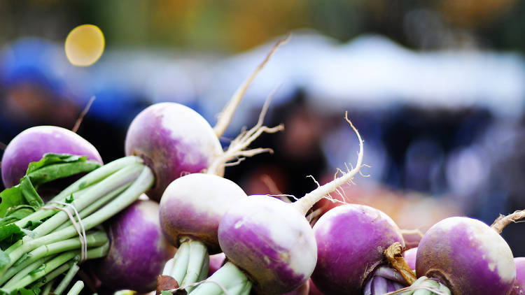 Elmhurst Greenmarket