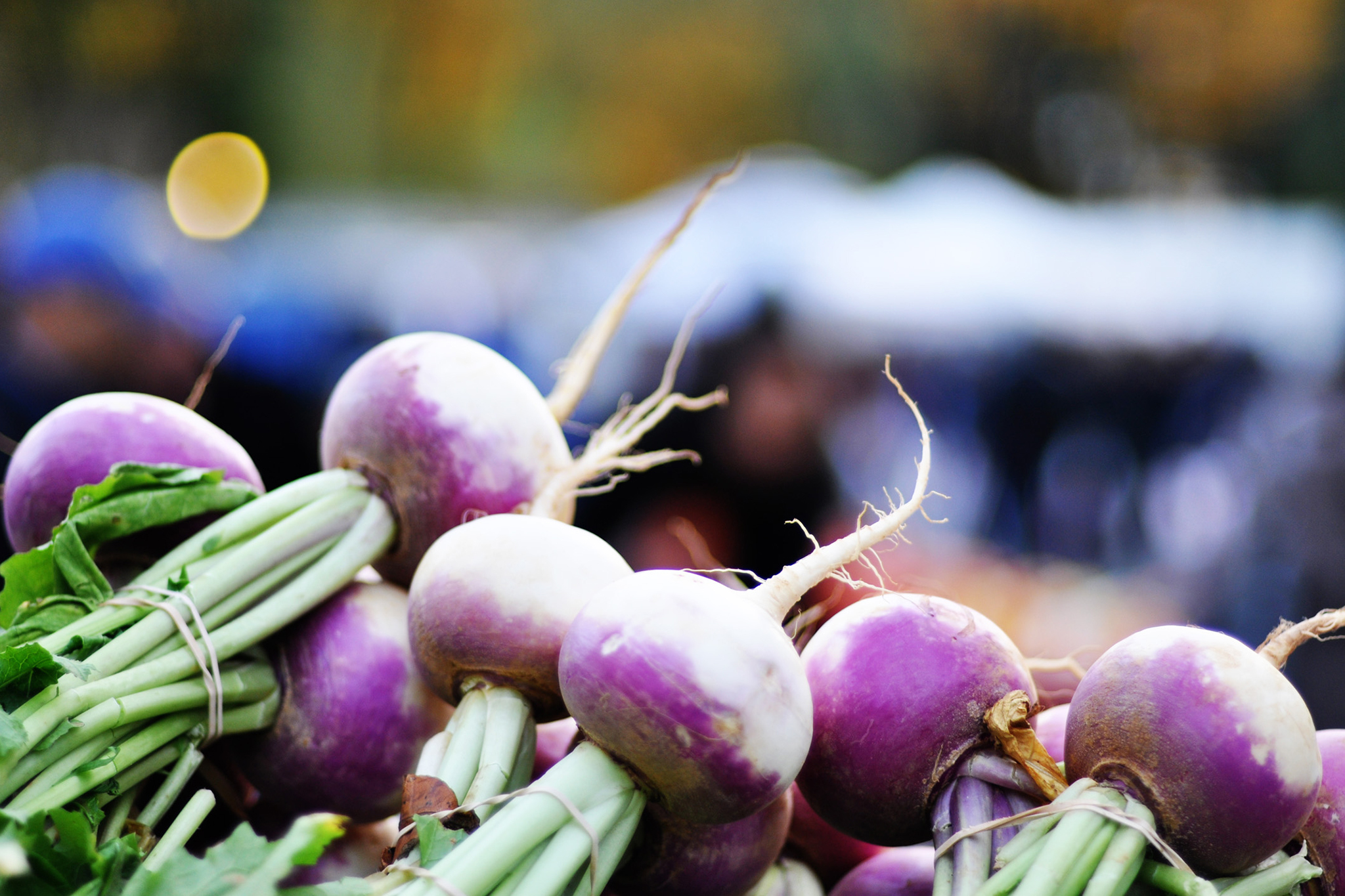 Elmhurst Greenmarket Shopping in Elmhurst, New York