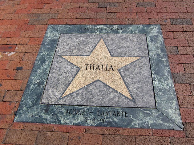 Calle Ocho Walk of Fame Calle Ocho Walk of Fame