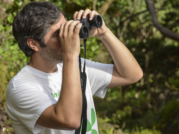 Birdwatching Birdwatching