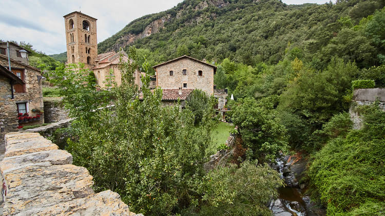 Beget