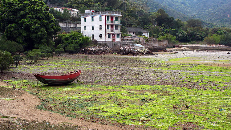 Hikes that take less than an hour in Hong Kong