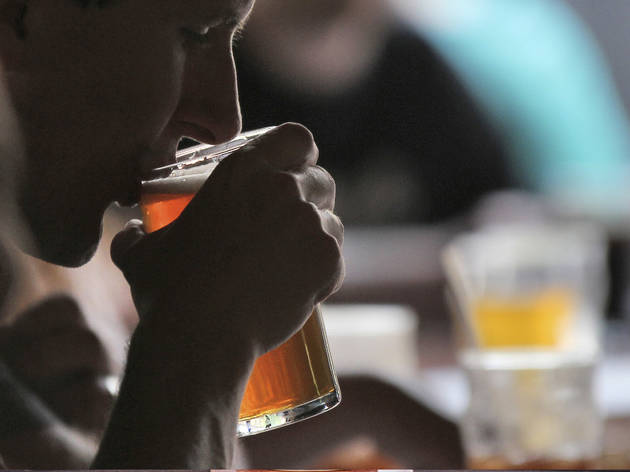 beber cerveja beber cerveja
