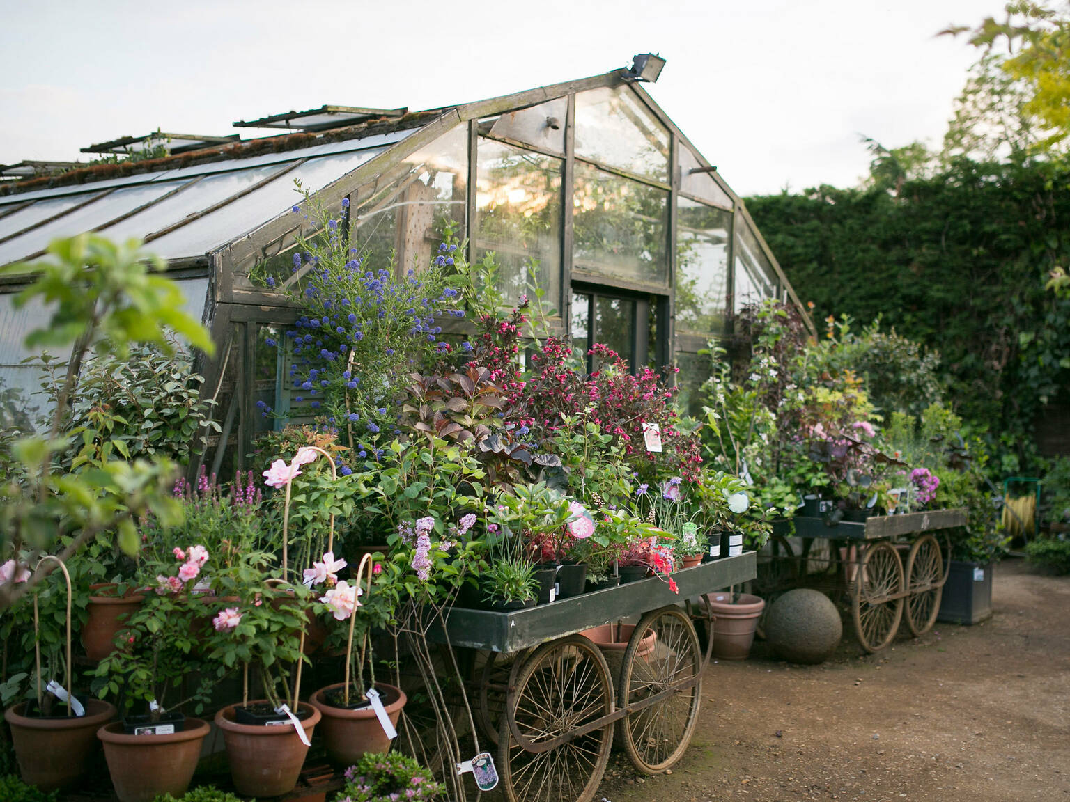 Best Garden Centres and Plant Shops in London 20 Lush Places To Buy