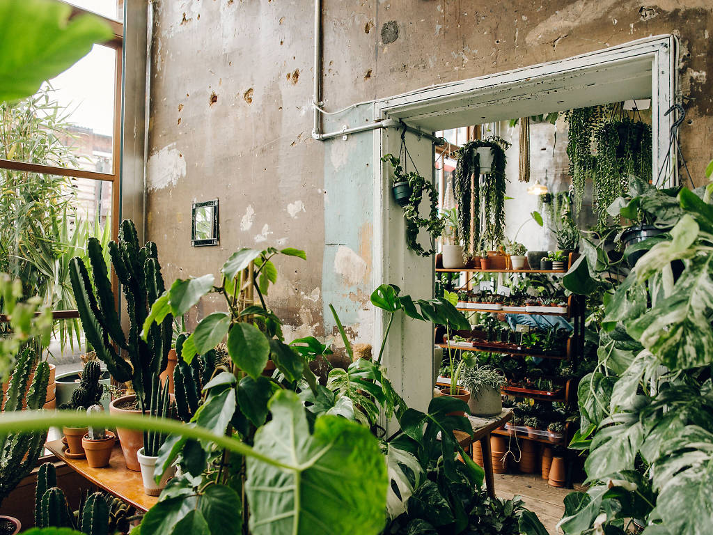 Best Garden Centres and Plant Shops in London | 20 Lush Places To Buy ...