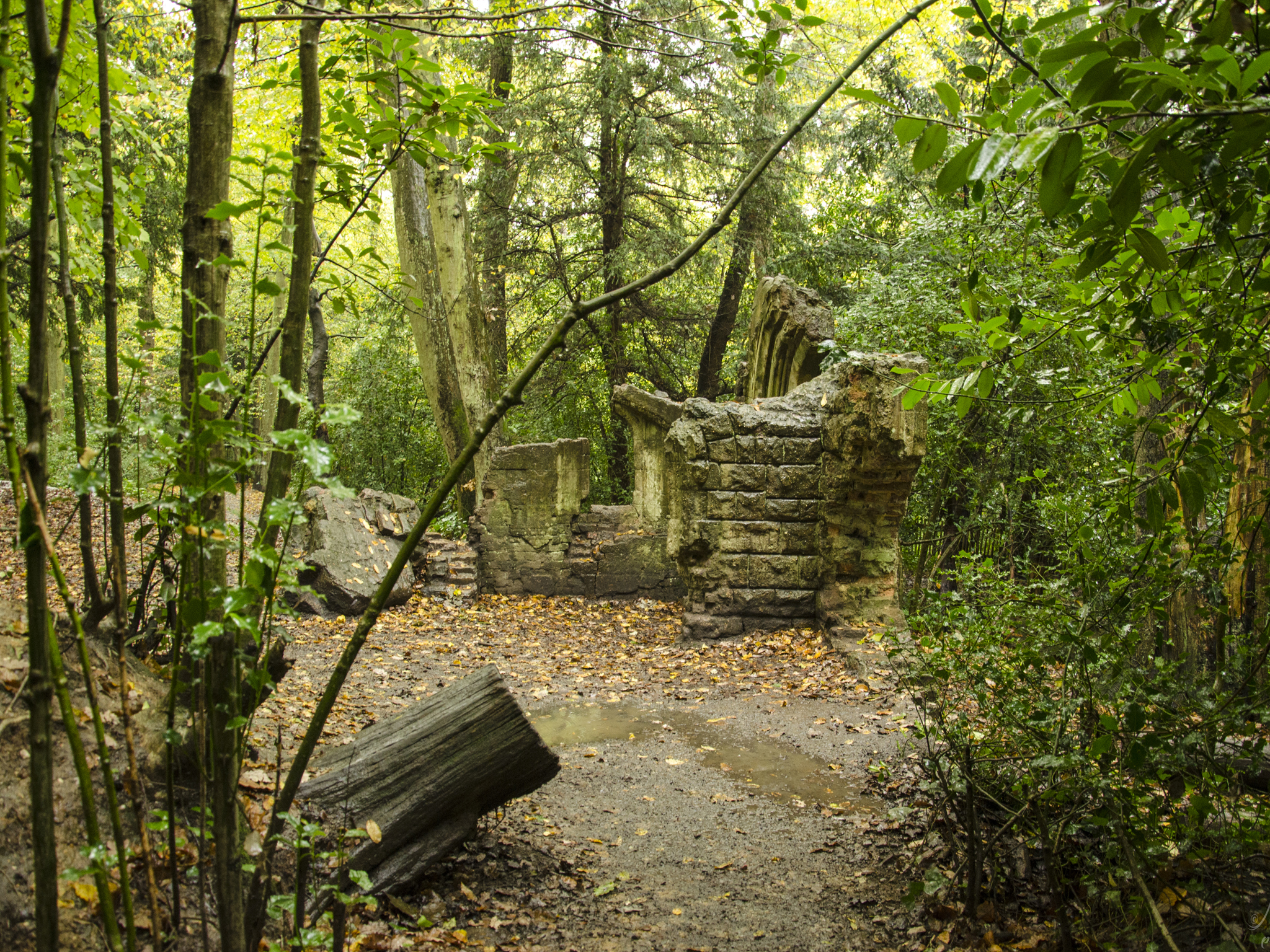 11 Places In London That Feel Like The Countryside Rural London