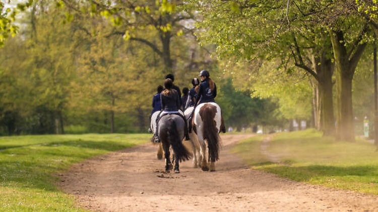 Horse Riding in Hyde Park