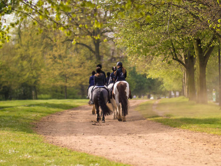 Horse Riding in Hyde Park