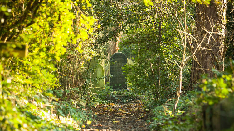 Abney Park Cemetery