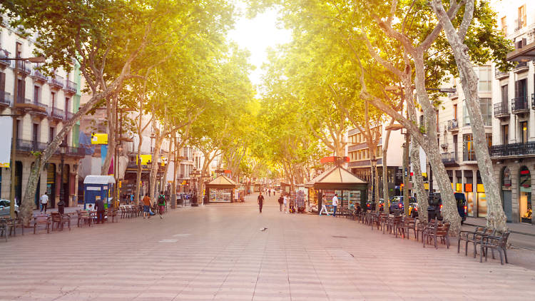 The 16 best things to do on La Rambla