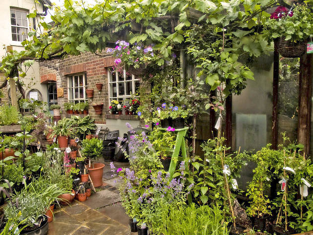 Best Garden Centres And Plant Shops In London 24 Lush Places To