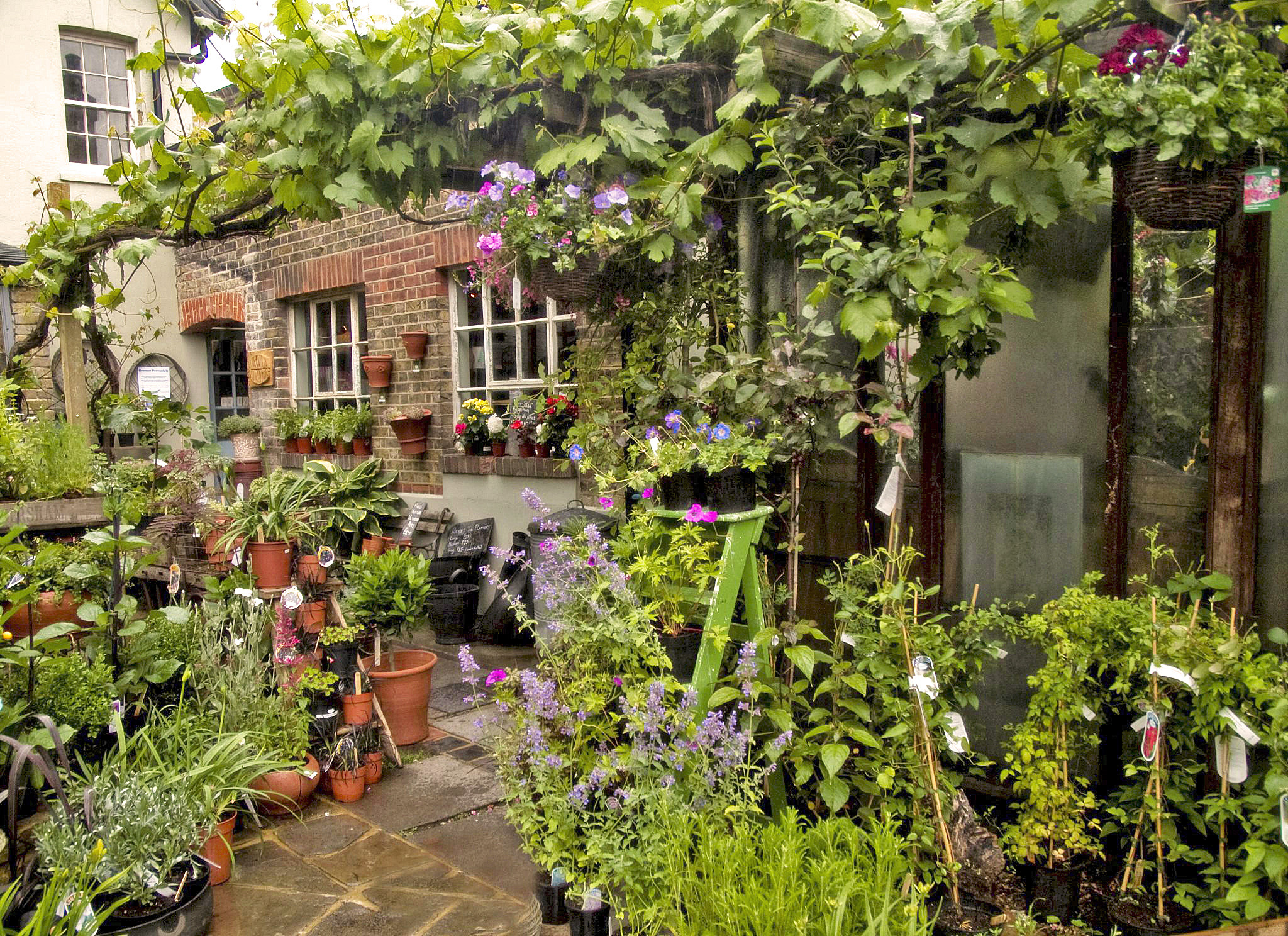 Best Garden Centres And Plant Shops In London 24 Lush Places To