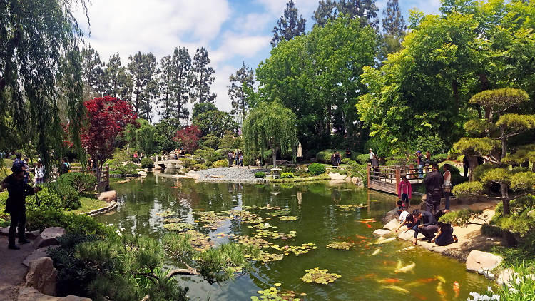 Earl Burns Miller Japanese Garden