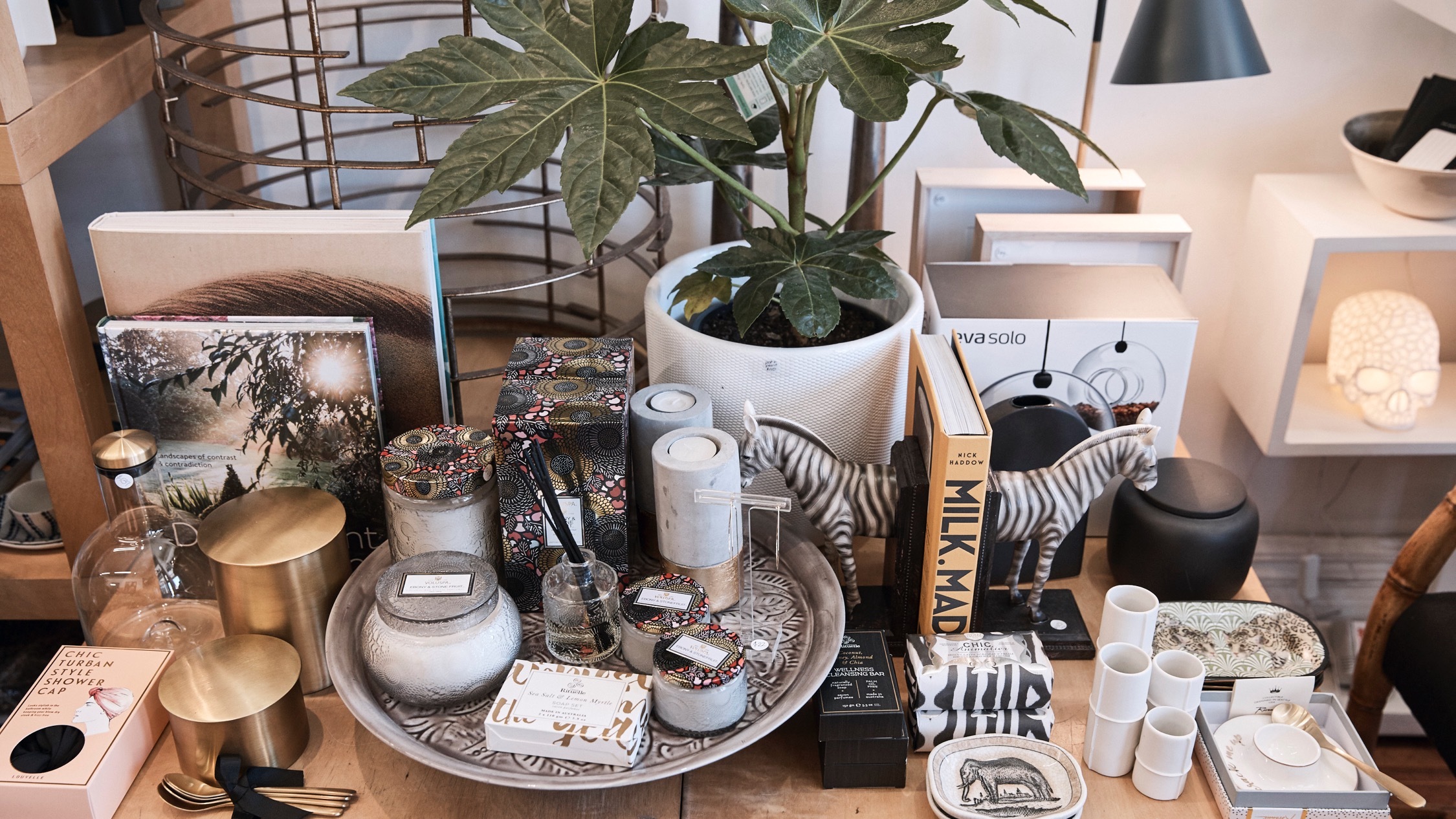 Picture of Urban Oasis | Shopping in Pyrmont, Sydney