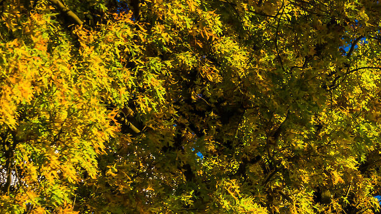 gettysburg national park gettysburg national park