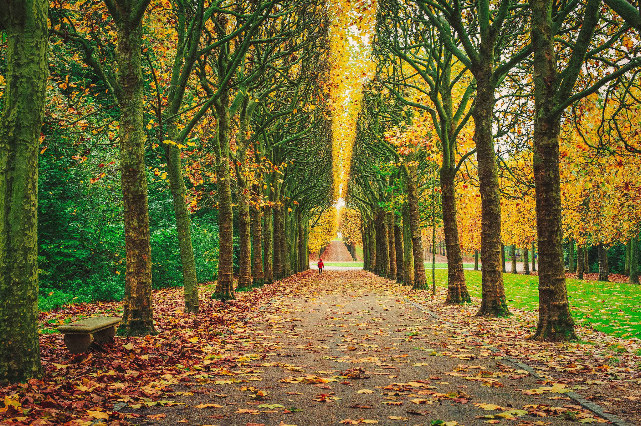 21 Unmissable Things To Do In Paris In Automn 2017 Time Out Paris 21-unmissable-things-to-do-in-paris-in-automn-2017-time-out-paris