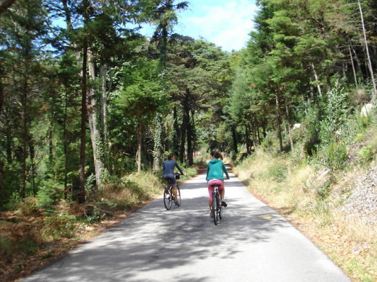 Self-guided Sintra tour