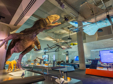 The best museums in Miami to get your art on The best museums in Miami to get your art on