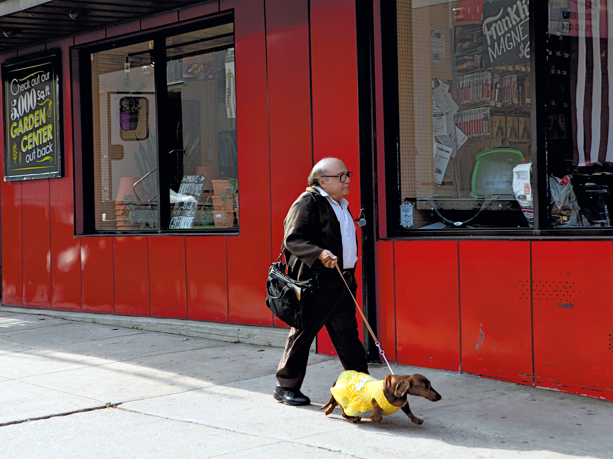 WienerDog 2016, directed by Todd Solondz Film review