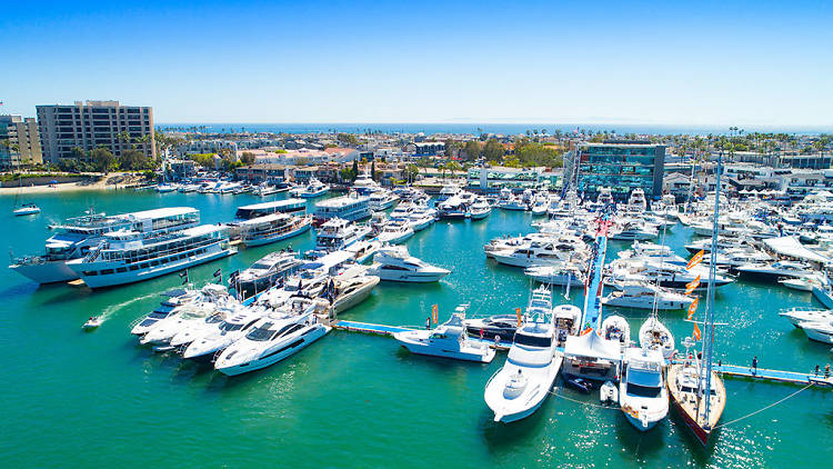 Deep-sea fishing cruise in Newport Beach, CA