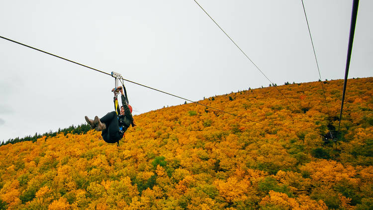Ziplining Ziplining