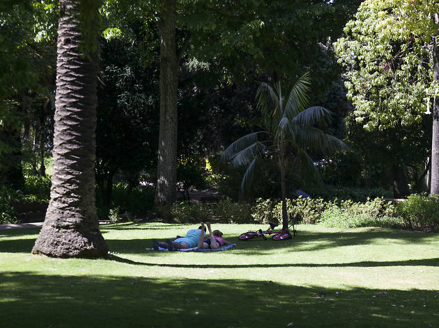 jardim da estrela jardim da estrela